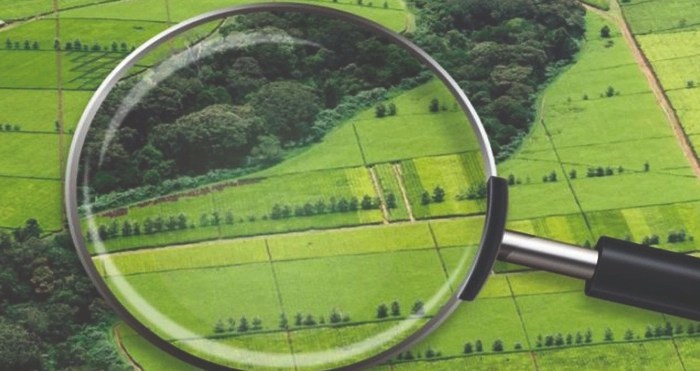 Картинка ілюстративна&nbsp;&nbsp;